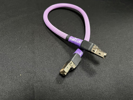 Tubulus Concentus i2s kabel V2