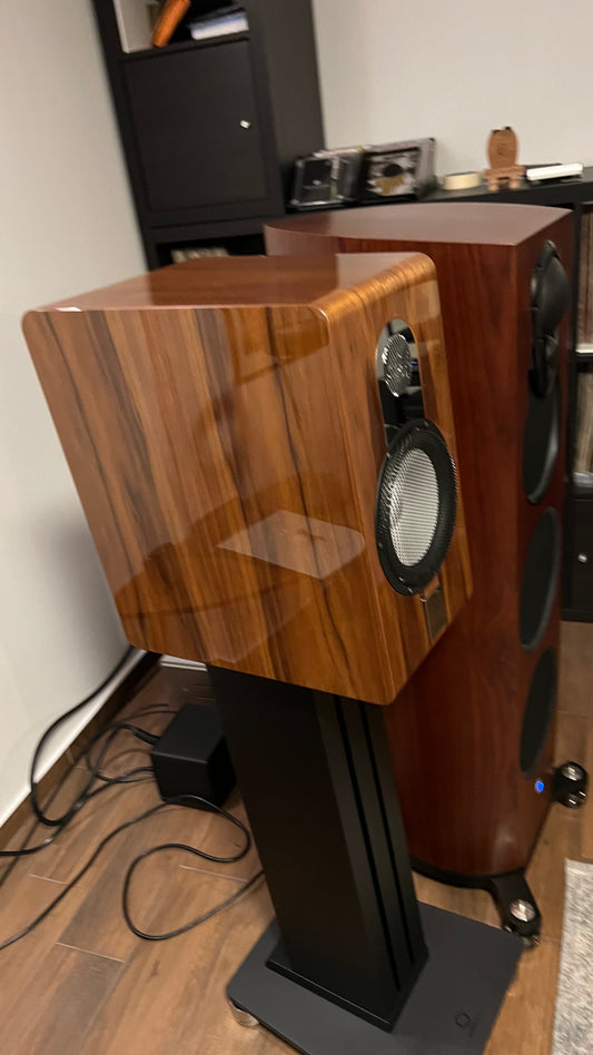 Marten Duo Diamond edition, original Marten stands, piano walnut finish
